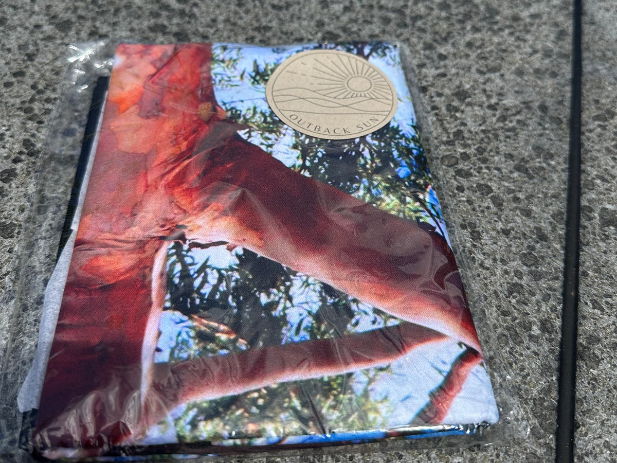 Lemon Scented Gum - all-rounder size