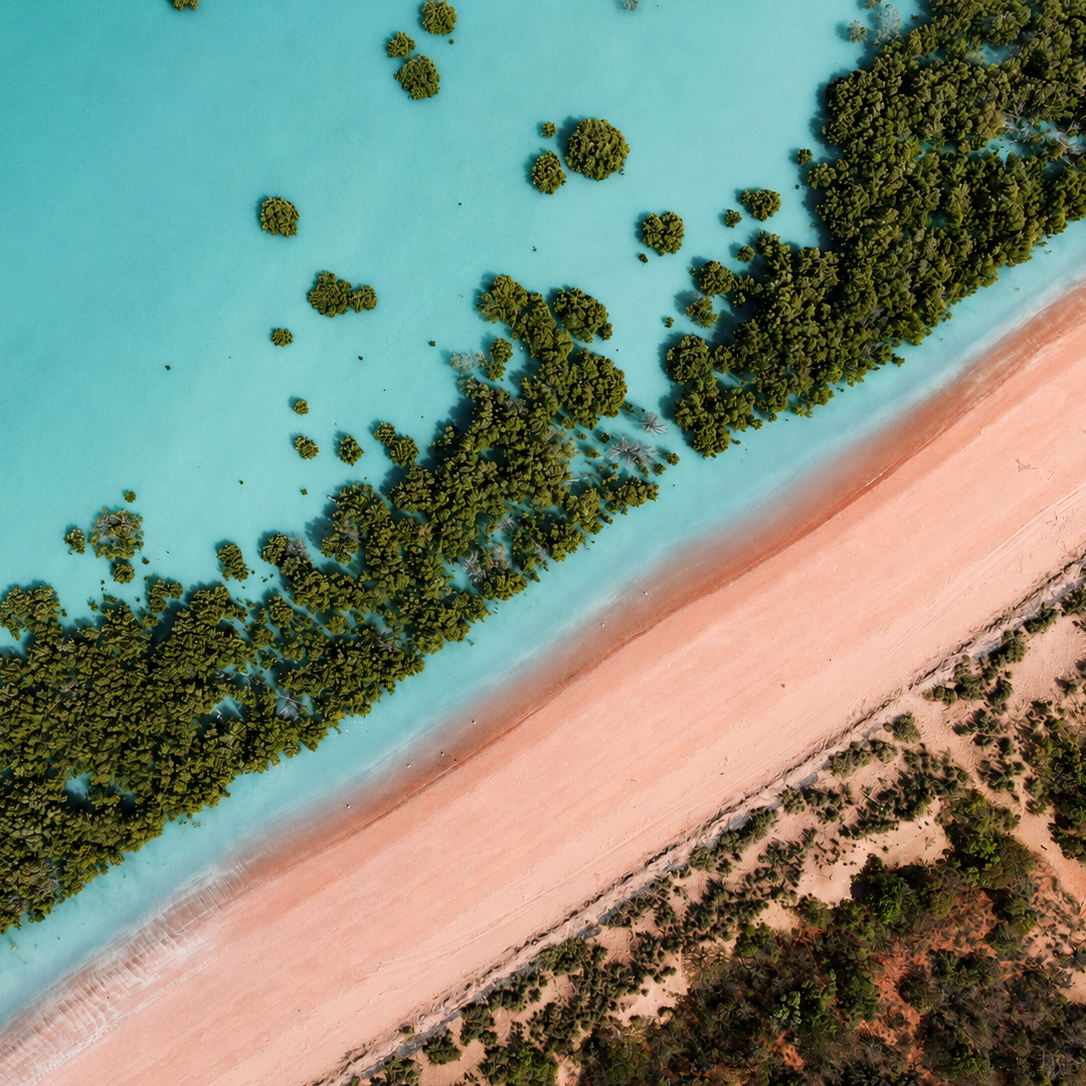 Pink Tides