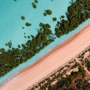 Pink Tides