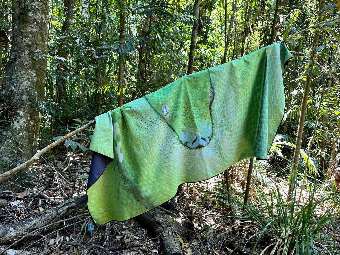 Green Tree Python