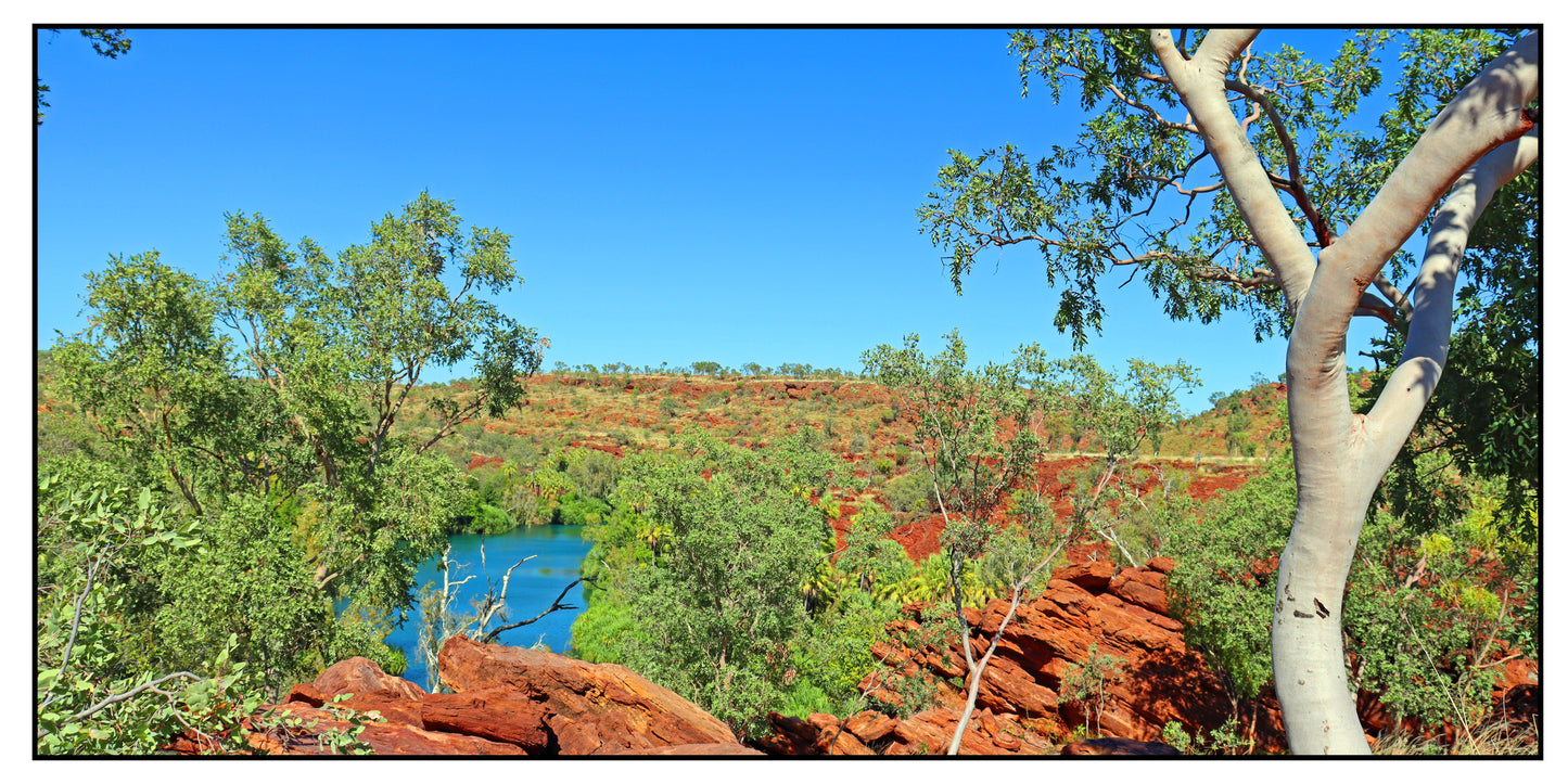 Outback Oasis